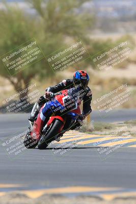 media/May-14-2023-SoCal Trackdays (Sun) [[024eb53b40]]/Turn 5 Tree of Life (1125am)/